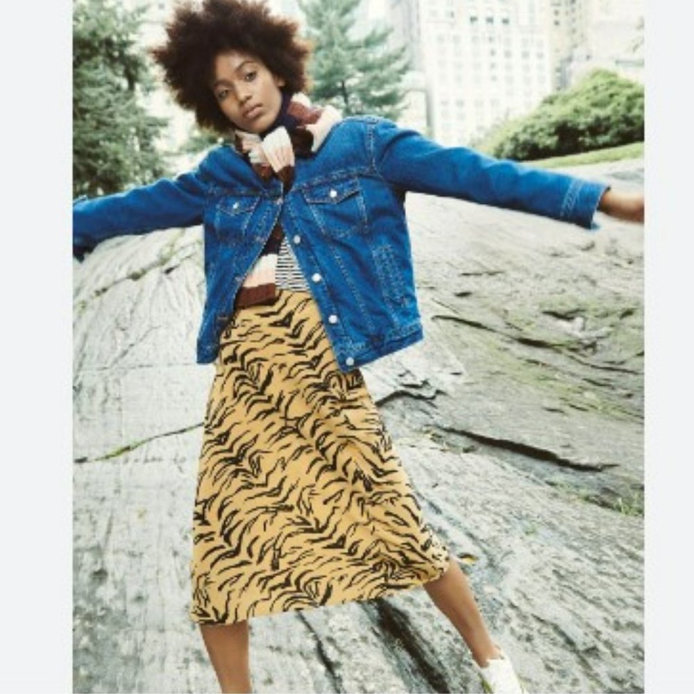 Madewell Silk Midi Skirt in Tiger Stripe